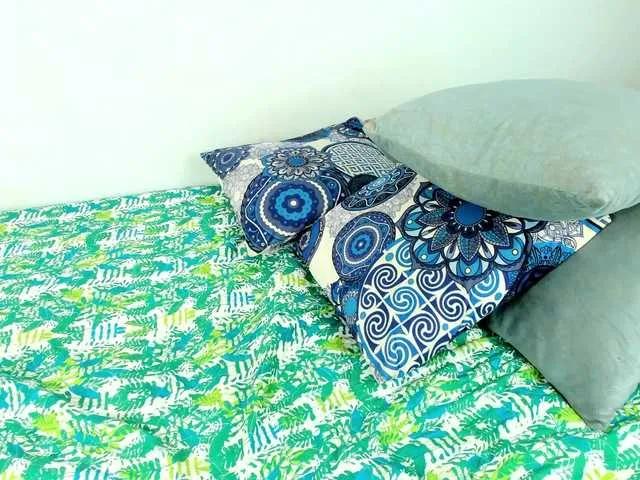 Offline Brianna20 on BongaCams