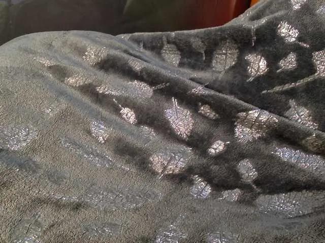 Offline HornyPriya on BongaCams