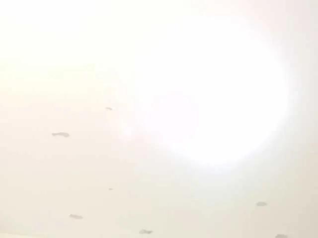 Offline JimmyPamela on BongaCams