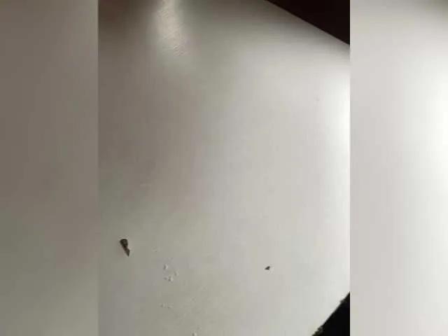 BongaCams Lalili is Freechat Lalili — beauty and generosity