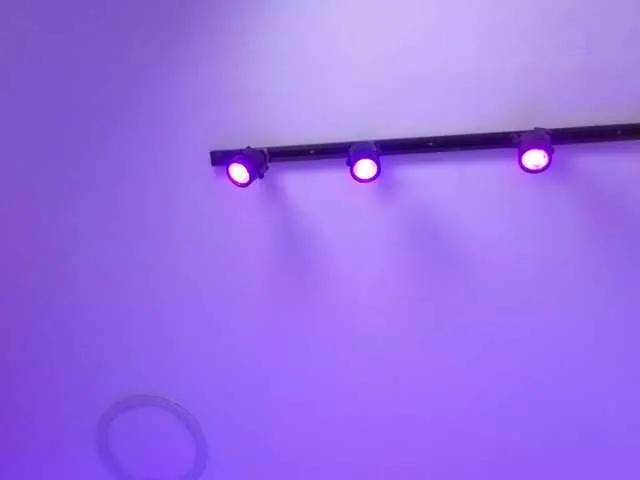 Offline MaiaWatson on BongaCams