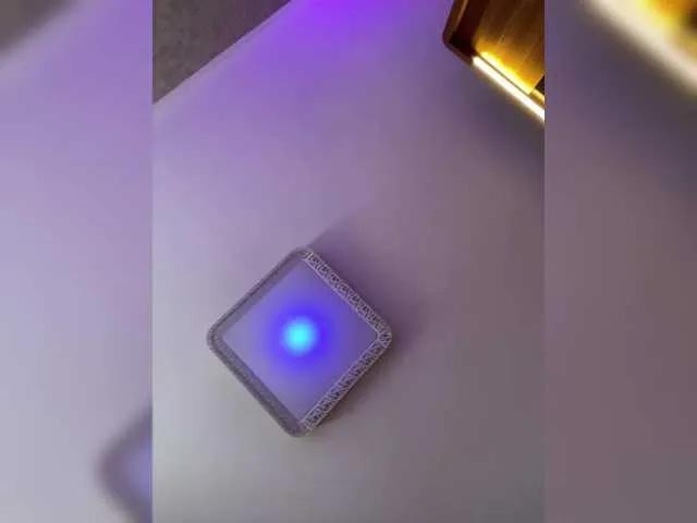 Offline PALMIIRA on BongaCams