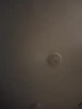 Group Realwetpussy on StripChat